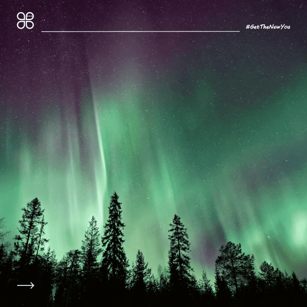 ilustrasi contoh report text