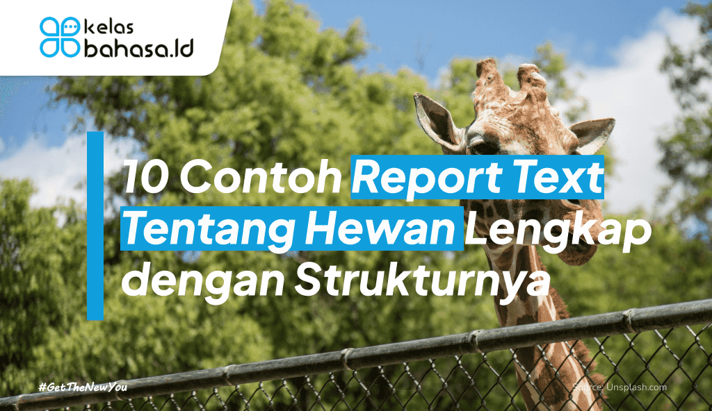 ilustrasi report text tentang hewan