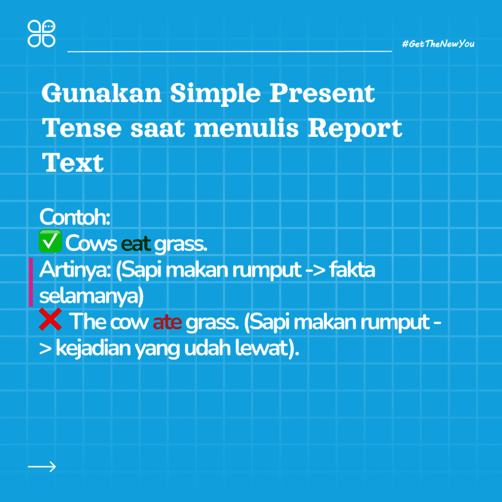 ilustrasi report text tentang hewan