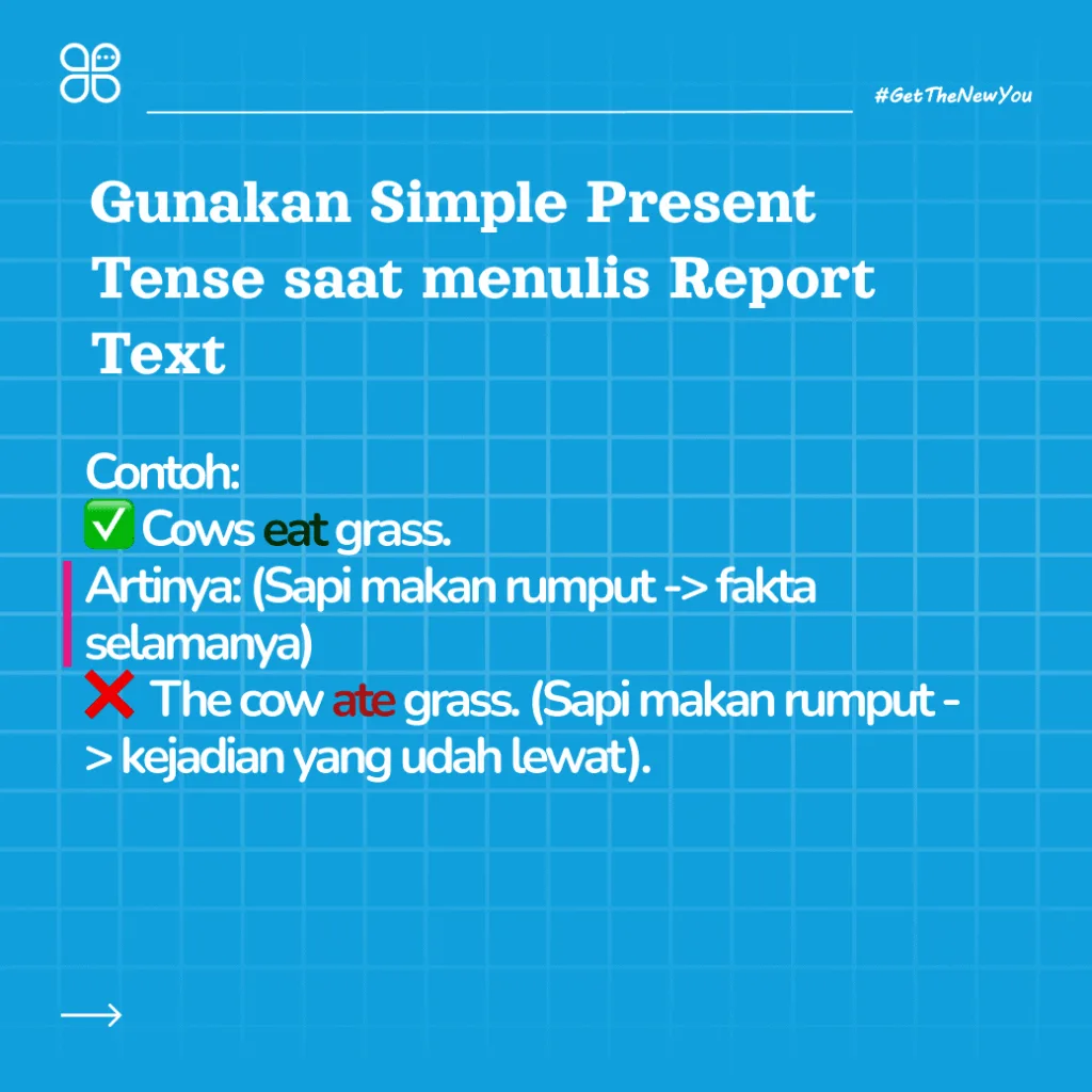 ILustrasi 10 Contoh Report Text Tentang Hewan Lengkap dengan Strukturnya ilustrasi report text tentang hewan