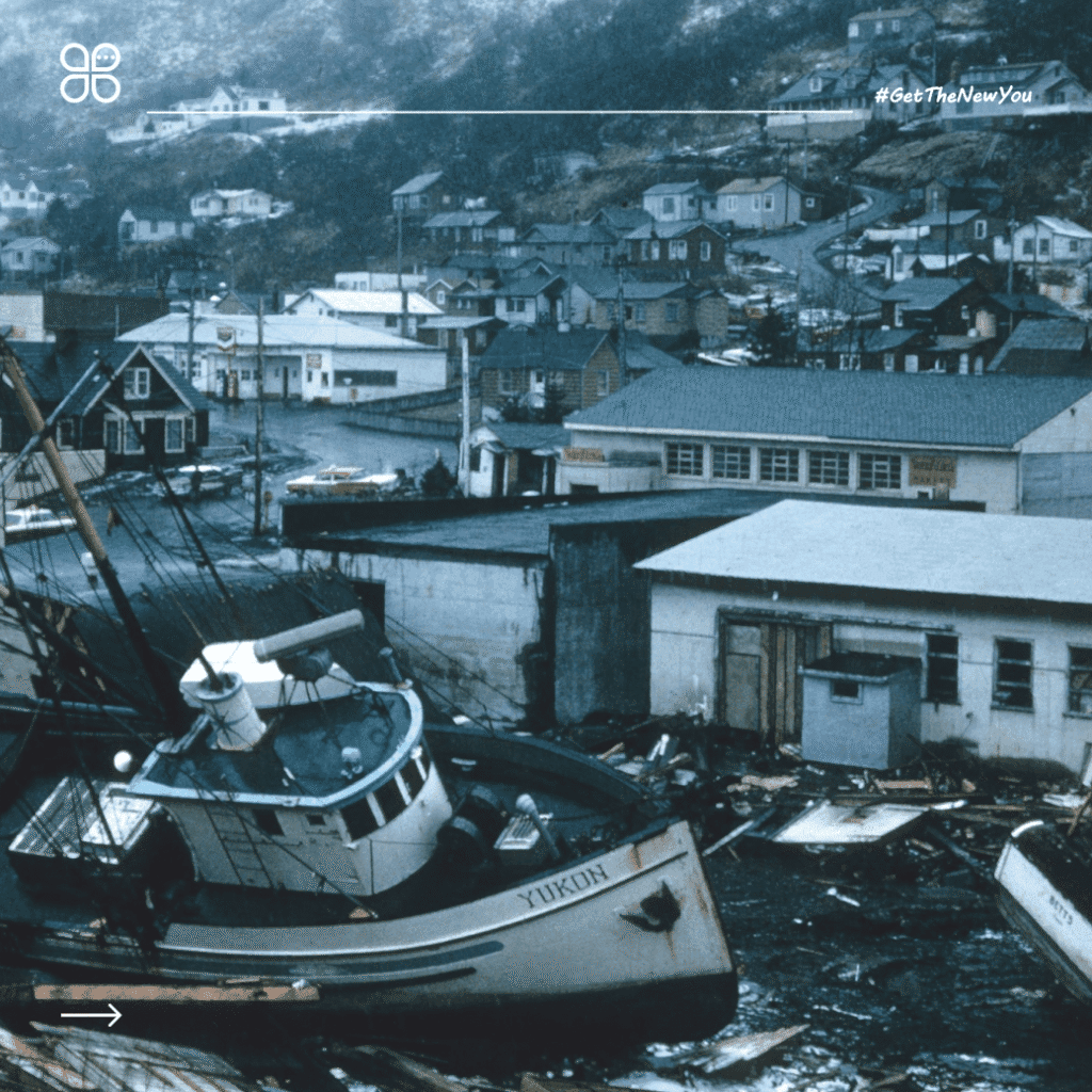 ilustrasi contoh report text