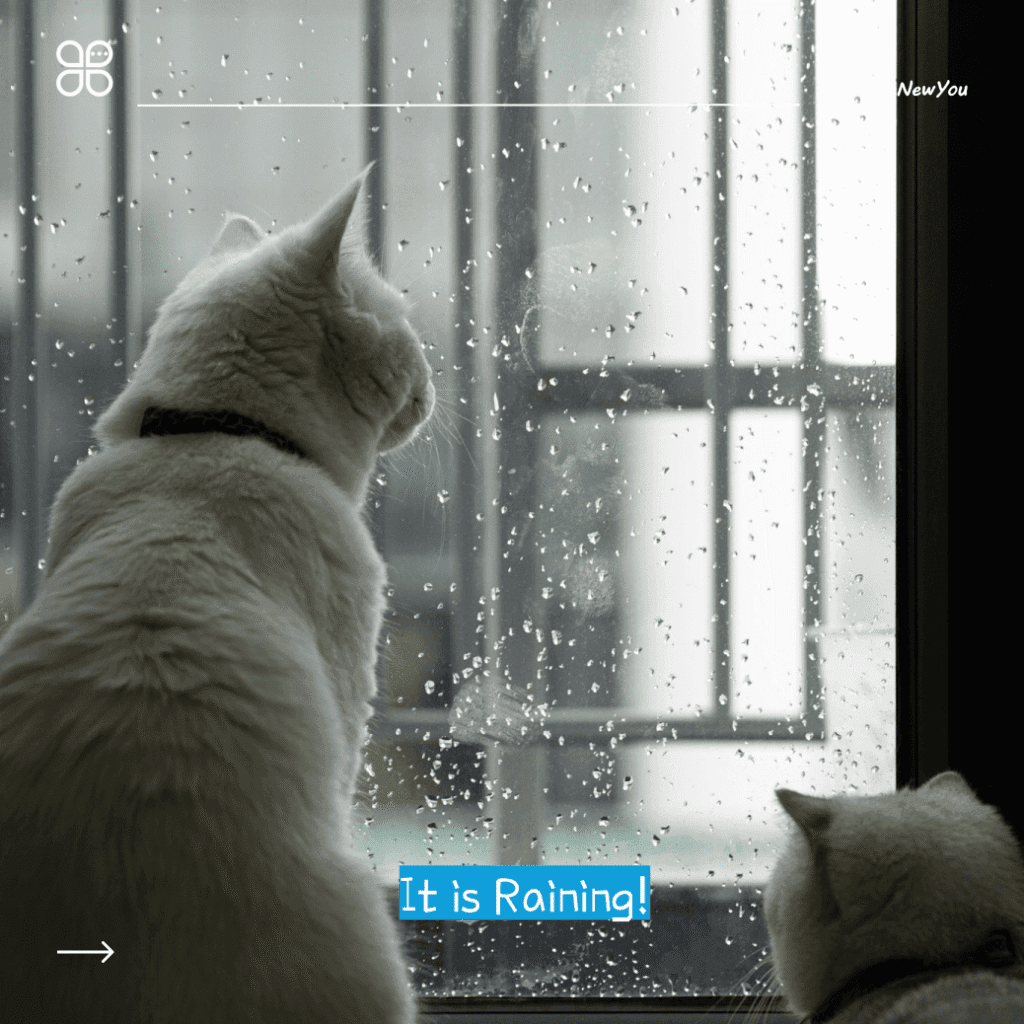 ilustrasi present continuous tense