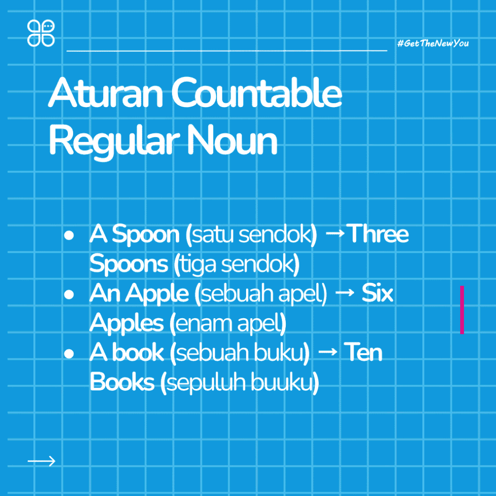 ilustrasi panduan lengkap singular dan plural noun