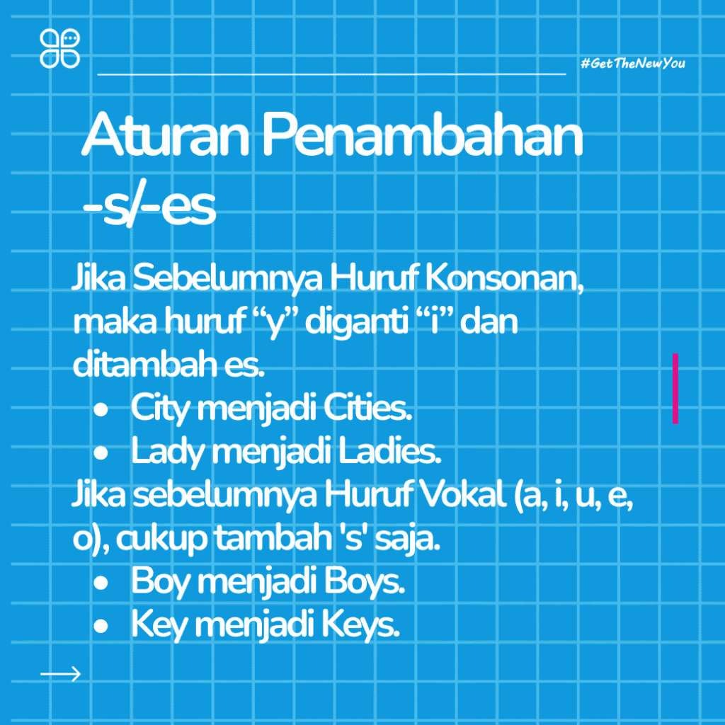 ilustrasi panduan lengkap singular dan plural noun