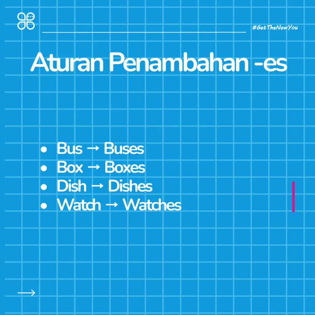 ilustrasi panduan lengkap singular dan plural noun