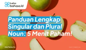 ilustrasi panduan lengkap singular dan plural noun